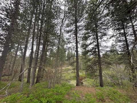 2994 BICKLETON HWY, Bickleton, WA 99322