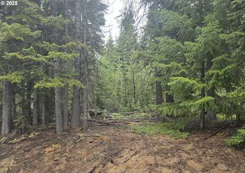 4 Royce Pine RD, Crescent Lake, OR 97733