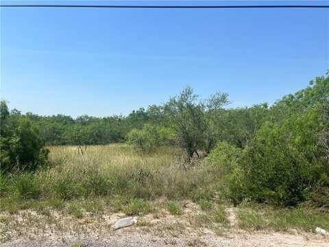 0 W County Road 2180, Kingsville, TX 78363