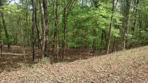 Lot 52 Shad Run DR, Moneta, VA 24121