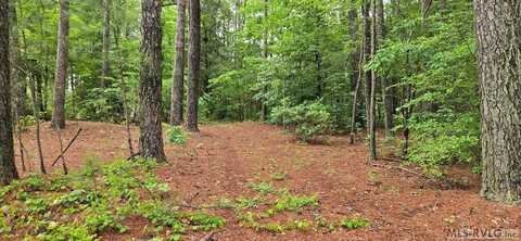 290 South Belmont Dr, Henrico, NC 27842