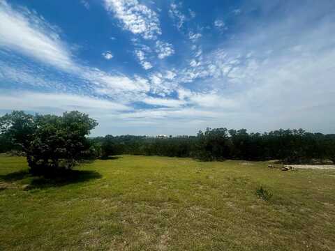 96 Coyote Run, Fredericksburg, TX 78624
