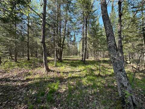 Xxx Elm Road, Barnum, MN 55707