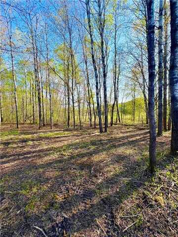 Tbd Mallard Place, Sandstone, MN 55072