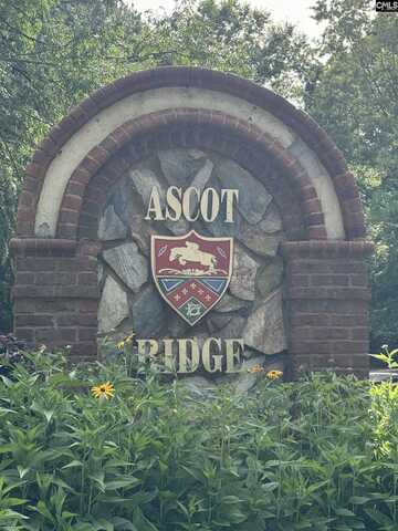 9 Ascot Ridge Ct, Irmo, SC 29063