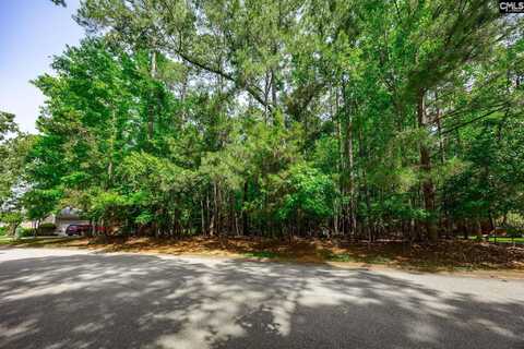 506 Timberlake Drive, Chapin, SC 29036