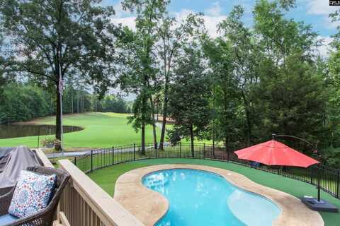 129 Linkside Court, Chapin, SC 29036