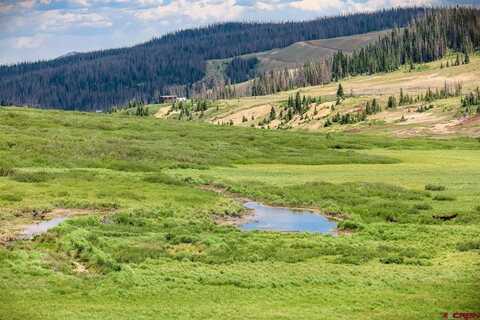 LOT 2 Forest Service Road 330, South Fork, CO 81154