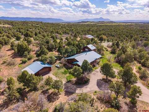 34566 Highway 184, Mancos, CO 81328