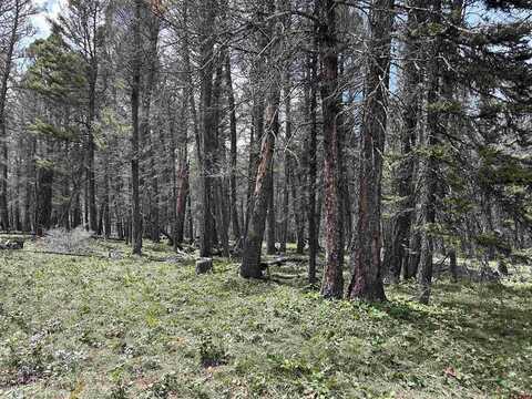 792 Crest Drive, Cimarron, CO 81220
