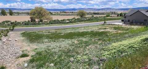4117 Waterfall Drive, Montrose, CO 81403