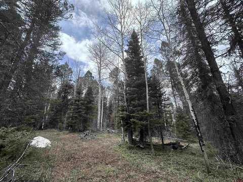 766 Crest Drive, Cimarron, CO 81220