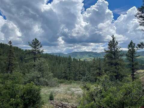 881 Ironwood Drive, Pagosa Springs, CO 81147