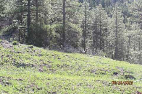881 Ironwood Drive, Pagosa Springs, CO 81147