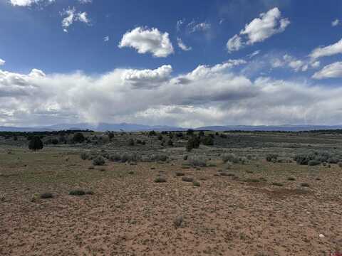12945 CR-310, Ignacio, CO 81137