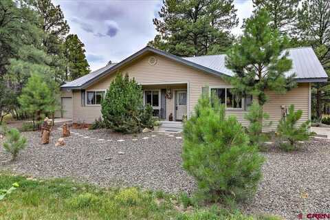 16 Mosswood Drive, Pagosa Springs, CO 81147