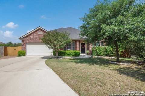 427 Neches, San Antonio, TX 78258
