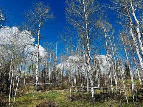 Lot 124 WAGON WHEEL TRAIL, Oak Creek, CO 80467