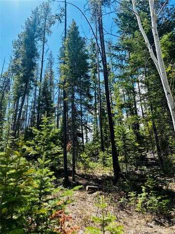 50 SPRINGBOARD TRAIL, Oak Creek, CO 80467