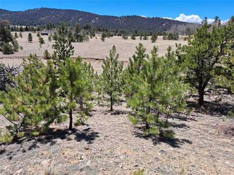 1038 COSTELLA DRIVE, Hartsel, CO 80449