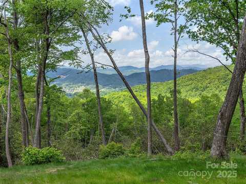 000 Hemlock Grove Trail, Hendersonville, NC 28792
