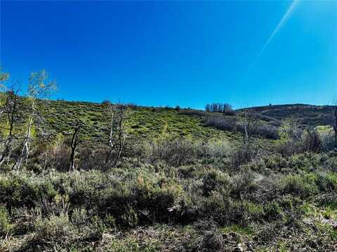 24090 ARAPAHOE ROAD, Oak Creek, CO 80467