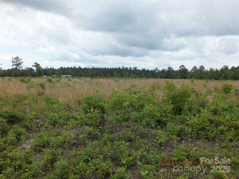 523 Oak Ridge Church Road, Kershaw, SC 29067