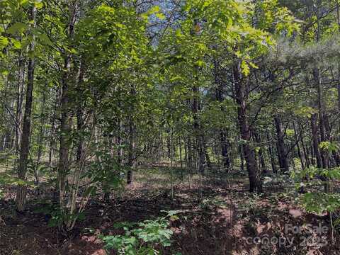 0 Freemantown Road, Lake Lure, NC 28746