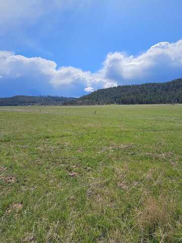 4627 Springdale Hunters Rd, Springdale, WA 99173