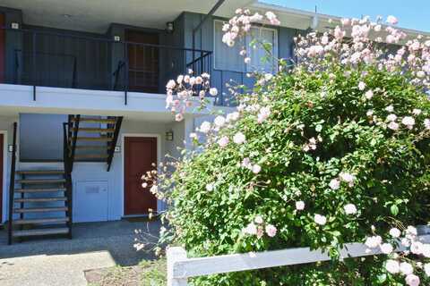 3639 San Remo Drive, SANTA BARBARA, CA 93105