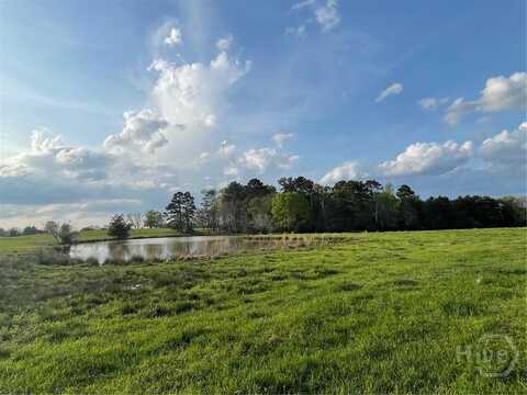 0 Elberton Road, Tignall, GA 30668