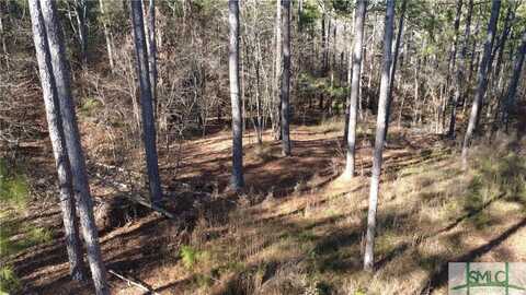 1051 Bluff Road, Elberton, GA 30635