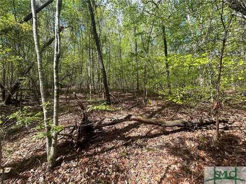 0 Shore Crest Drive, Martin, GA 30557
