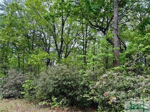 0 Snowdrift Place, Cleveland, GA 30528