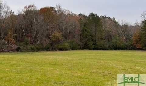 0 New Town Church Road, Carlton, GA 30627