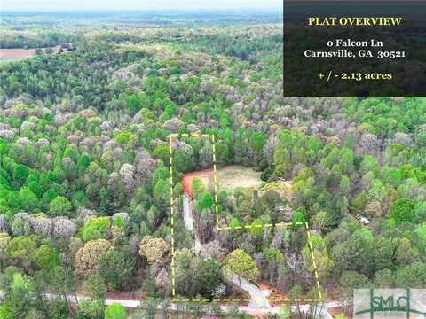 0 Falcon Lane, Carnesville, GA 30521