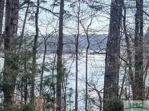 0 Rue Maurice, Lavonia, GA 30553