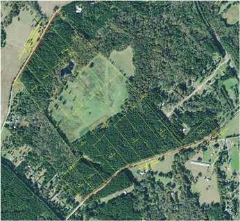 Lot 8 Wallace Road, Madison, GA 30650