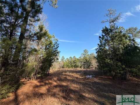 0 Hornets Bridge Drive, Elberton, GA 30635