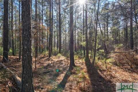 0 Aycock Road, Lexington, GA 30648