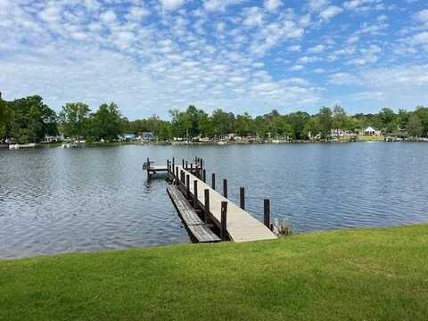 1781 Morgan Lane, Summerton, SC 29148