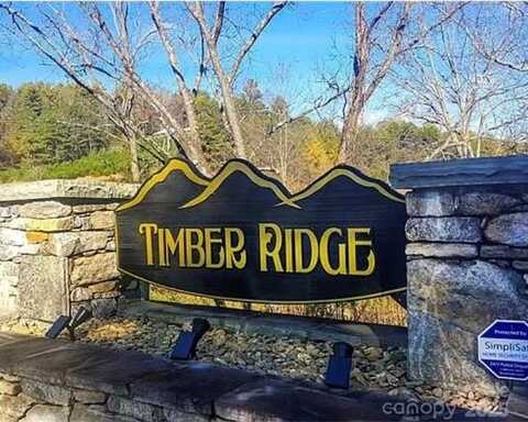31 Timber Hill Drive, Leicester, NC 28748