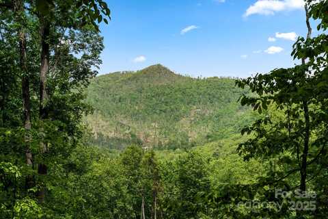 99999 Hawk Ridge, Asheville, NC 28804