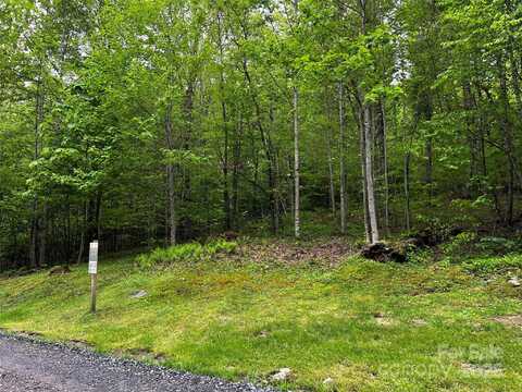 1 Pearl Way, Mars Hill, NC 28754