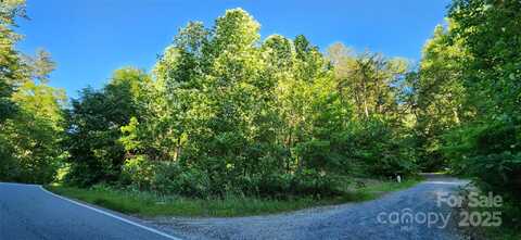 0 Buffalo Creek Road, Lake Lure, NC 28746