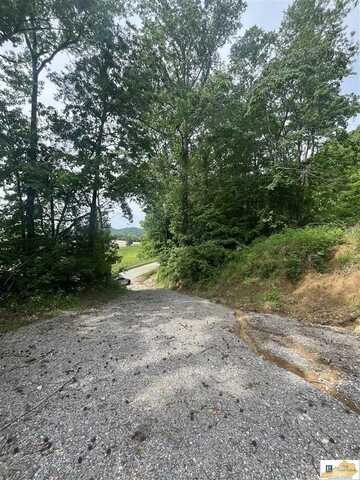 Crocus Creek Road, Burkesville, KY 42717