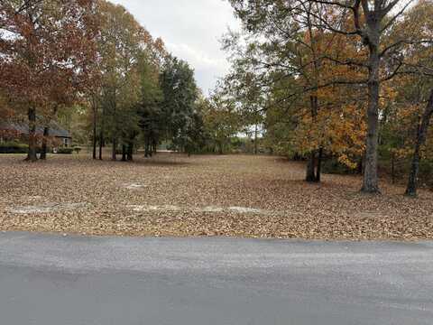 318 Lake Arbu Drive, Manning, SC 29102