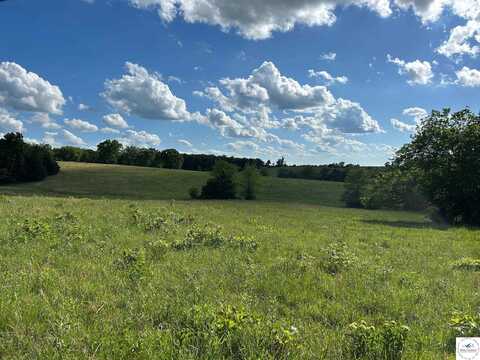 Luster/Violet, Warsaw, MO 65355