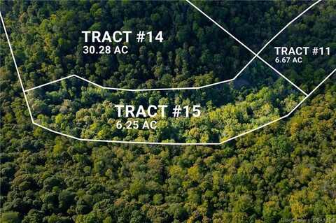 0 Tract 15 N State Road 156, Patriot, IN 47038
