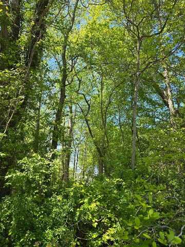 0 WINTERVILLE RD, BLOXOM, VA 23308